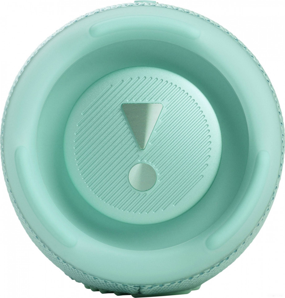 Портативная акустика JBL Charge 5 (бирюзовый)