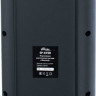 Патибокс Ritmix SP-875B
