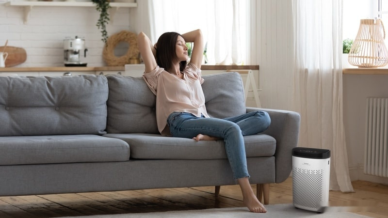 Очиститель воздуха Tefal Pure Air Essential PT2530F0