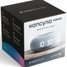 Умная колонка VK Капсула Мини (серый) Умная колонка VK Капсула Мини (серый)