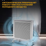 Конвектор Denzel HybridX-1000 Конвектор Denzel HybridX-1000