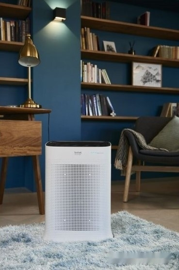 Очиститель воздуха Tefal Pure Air PT3030F0