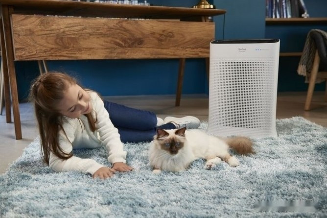 Очиститель воздуха Tefal Pure Air PT3030F0