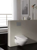 Geberit Delta 50 115.135.21.1 (глянцевый хром)