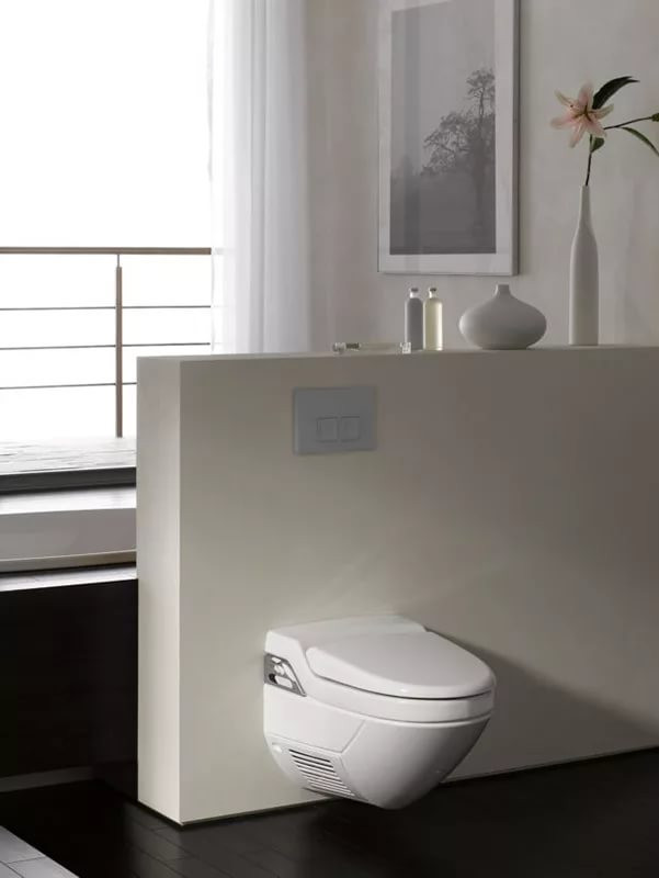 Geberit Delta 50 115.135.21.1 (глянцевый хром) Geberit Delta 50 115.135.21.1 (глянцевый хром)