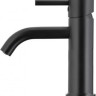Смеситель Armatura Neda Black 5822-815-81