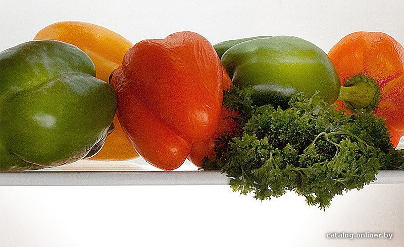 Холодильник Pozis RK-102 (серебристый) Холодильник Pozis RK-102 (серебристый)