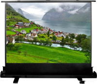 Проекционный экран Cactus FloorExpert 102x180 CS-PSFLE-180X102