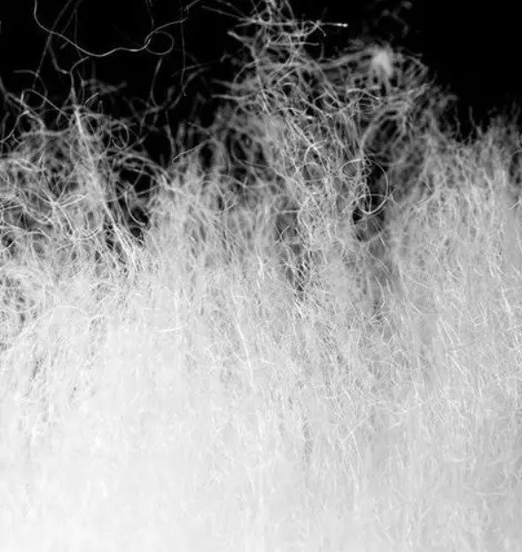 Спальный мешок Naturehike U150 NH20MSD07 6927595764398 (хаки 190 L) Спальный мешок Naturehike U150 NH20MSD07 6927595764398 (хаки 190 L)