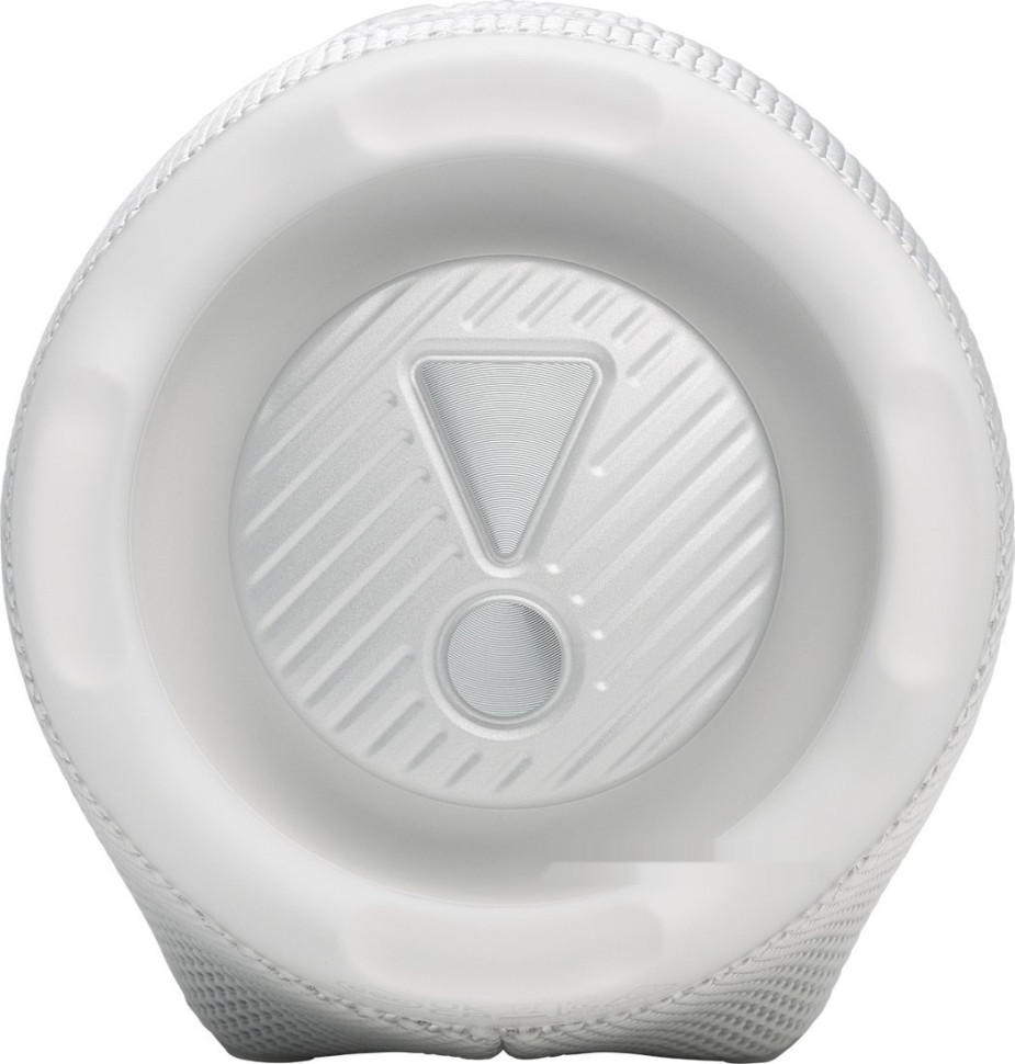 Портативная акустика JBL Charge 6 (белый)