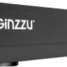 Видеорегистратор наблюдения Ginzzu HP-410 Видеорегистратор наблюдения Ginzzu HP-410