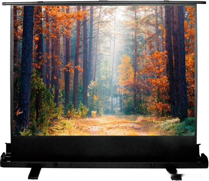 Проекционный экран Cactus FloorExpert 68x120 CS-PSFLE-120X68