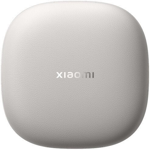 Наушники Xiaomi OpenWear Stereo M2503E1 (титановый серый, международная версия)