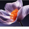 Телевизор Xiaomi TV S Pro Mini LED 75" 2026 L75MB-SRU (международная версия)