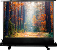 Проекционный экран Cactus FloorExpert 90x160 CS-PSFLE-160X90