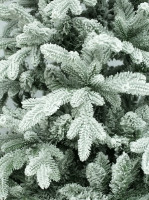 Ель Beatrees Greenlandya 1.8м