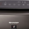 Климатический комплекс Sharp KIN-41RH Климатический комплекс Sharp KIN-41RH
