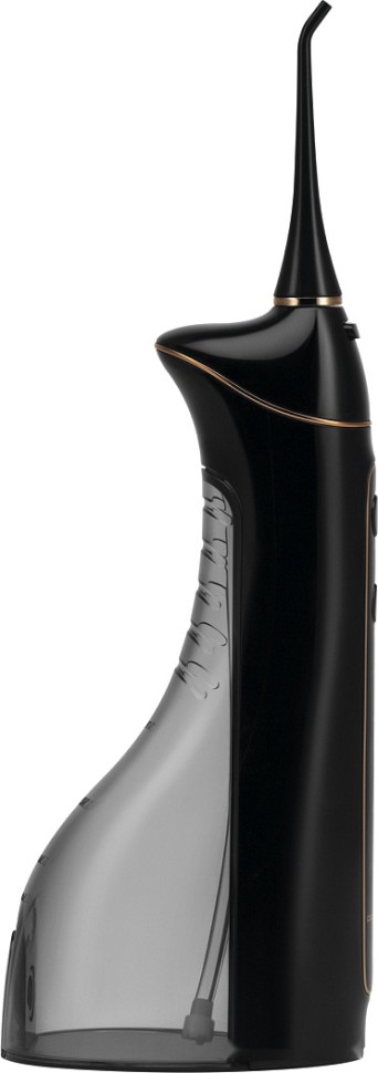 Ирригатор Polaris PWF 0201 (черный)