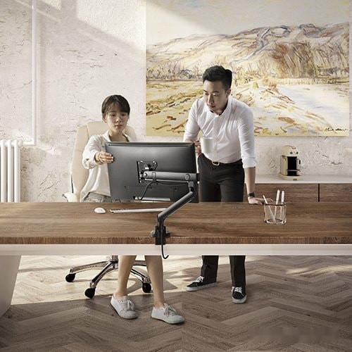 Кронштейн ErgoSmart Spring