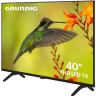 Телевизор Grundig 40 GHF 6500 Телевизор Grundig 40 GHF 6500