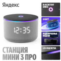 Умная колонка Яндекс Станция Мини 3 Про (серый)