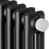 Радиатор Royal Thermo Insignia VC2180 - 12 секций RAL9005m