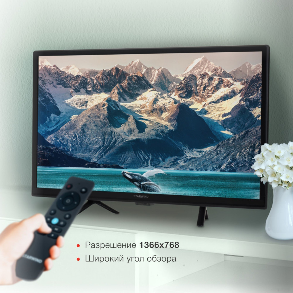 Телевизор StarWind SW-LED24BG202