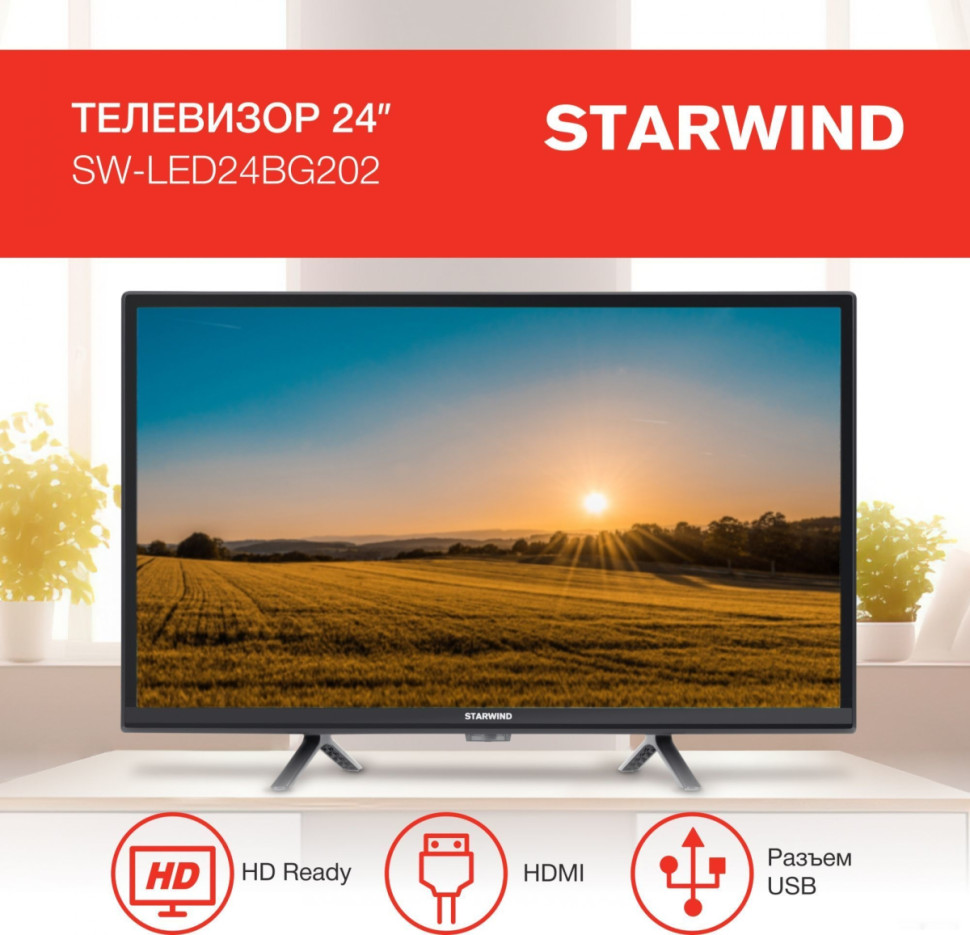 Телевизор StarWind SW-LED24BG202
