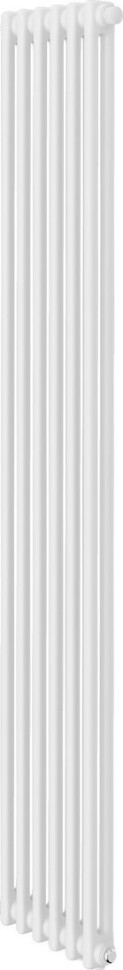 Радиатор Royal Thermo Insignia VC2180 - 06 секций RAL9016