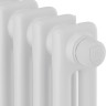 Радиатор Royal Thermo Insignia VC2180 - 06 секций RAL9016