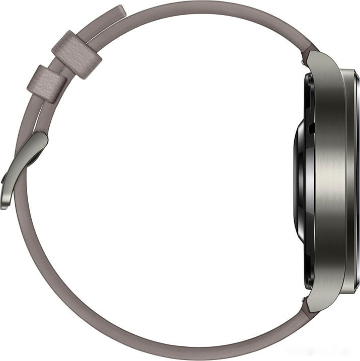 Умные часы Huawei Watch GT2 Pro (туманно-серый)