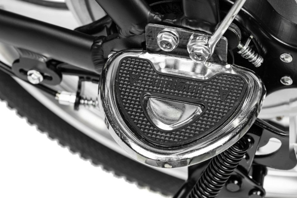 Электровелосипед MyWay Truck 1.0 350 20 (15, черный)