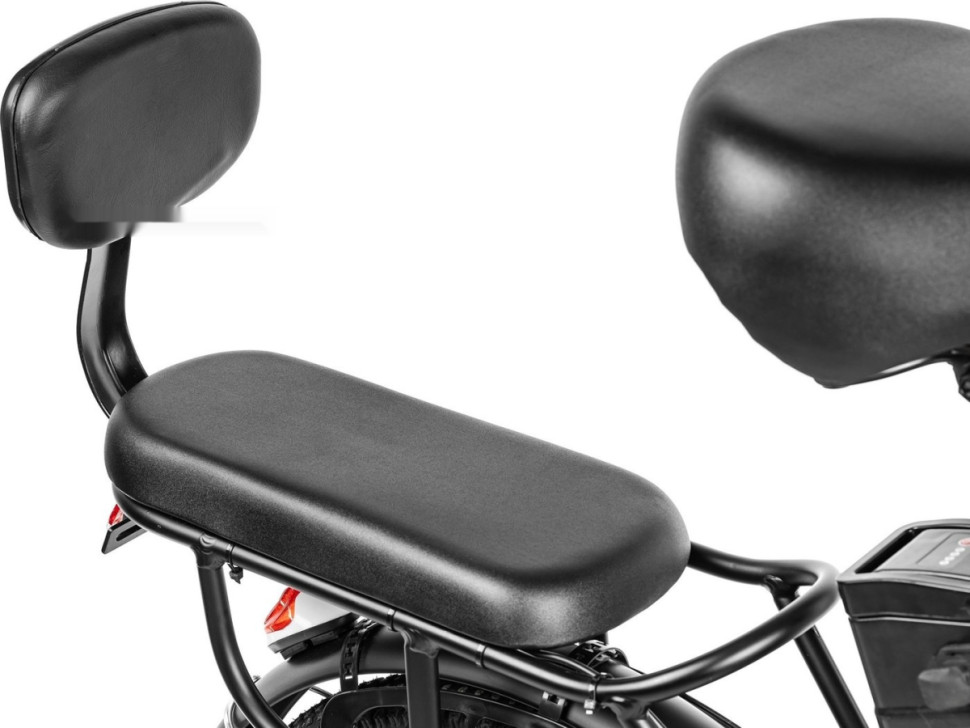 Электровелосипед MyWay Truck 1.0 350 20 (15, черный)