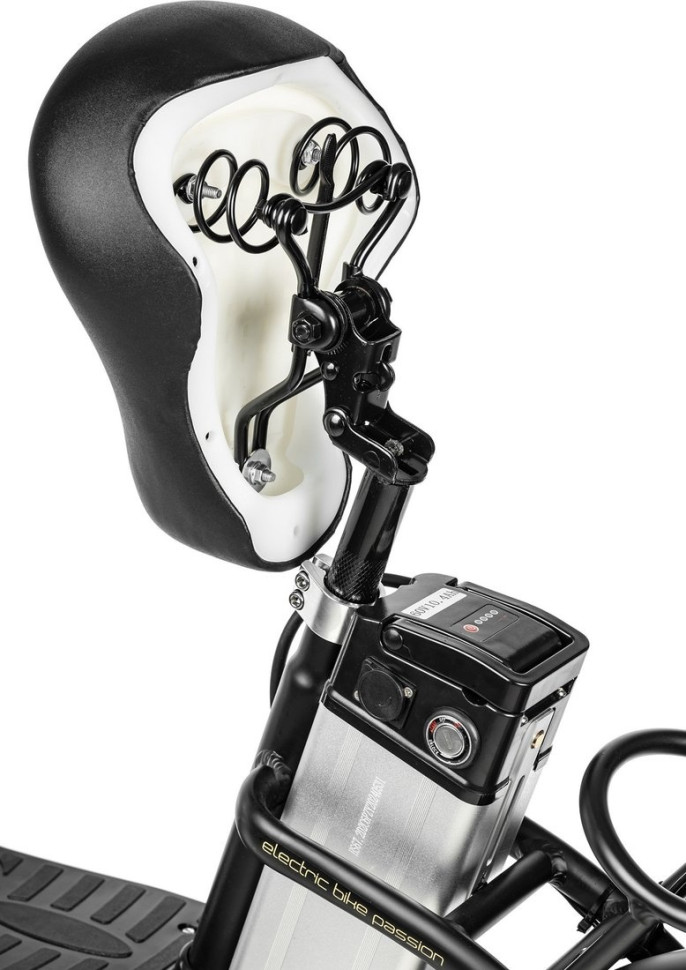 Электровелосипед MyWay Truck 1.0 350 20 (15, черный)