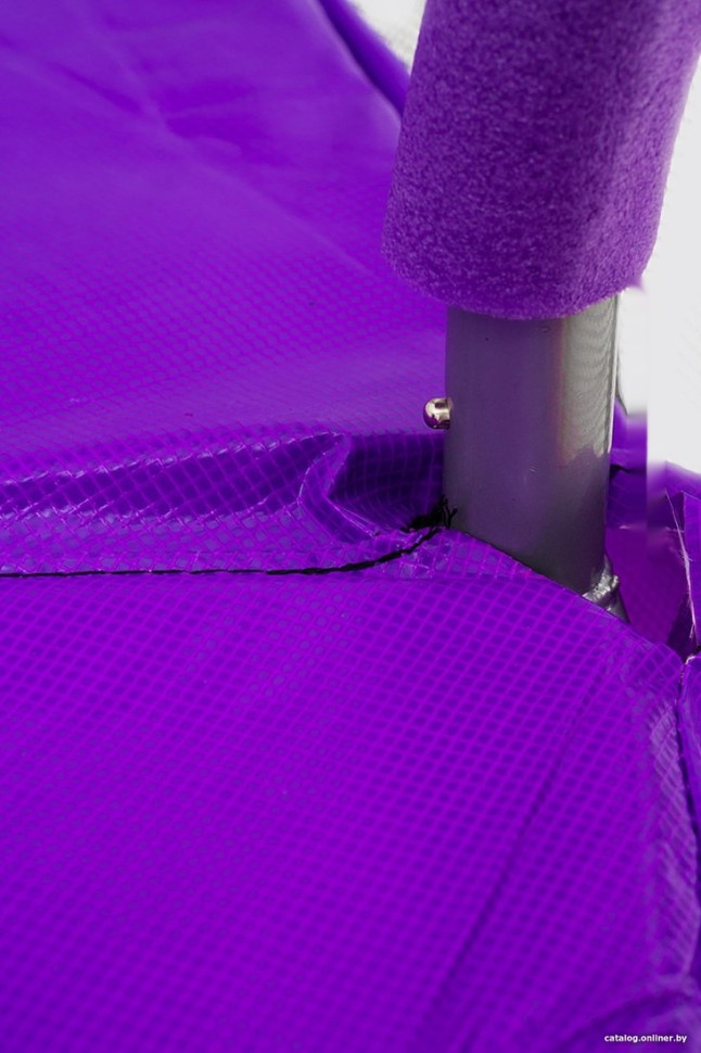 Батут Calviano Inside Master Purple 312 см - 10ft (внутренняя сетка, с лестницей) Батут Calviano Inside Master Purple 312 см - 10ft (внутренняя сетка, с лестницей)