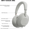 Наушники Sony WH-1000XM6 (серый)