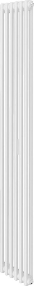 Радиатор Royal Thermo Insignia C2180 - 06 секций RAL9016