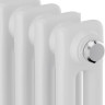 Радиатор Royal Thermo Insignia C2180 - 06 секций RAL9016