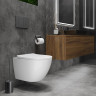 Панель смыва Roxen Steel 420280G