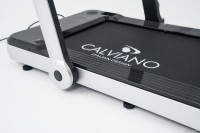 Беговая дорожка Calviano Palmer