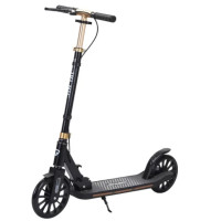 Самокат Ricos Dart JSCT1 (черный)