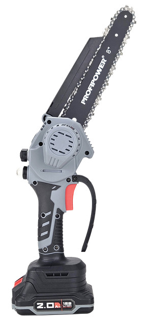 Аккумуляторная пила Profipower MKGSH-18V (с 2-мя АКБ) Аккумуляторная пила Profipower MKGSH-18V (с 2-мя АКБ)