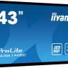 Информационная панель IIYAMA T4361MSC-B1