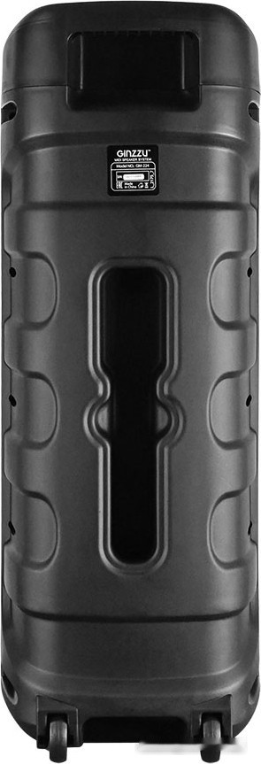 Колонка для вечеринок Ginzzu GM-224 Колонка для вечеринок Ginzzu GM-224