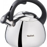 Чайник со свистком Tefal K2481574