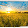 Проекционный экран Lumien Eco Picture 220x220 LEP-100110 Проекционный экран Lumien Eco Picture 220x220 LEP-100110