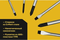Набор отверток Inforce 06-09-93 (10 предметов)