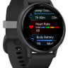 Умные часы Garmin Vivoactive 5 (черный) Умные часы Garmin Vivoactive 5 (черный)