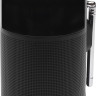 Радиоприемник JBL Tuner XL