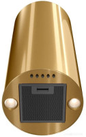 Вытяжка Konigin Beauty 31 (золотистый)